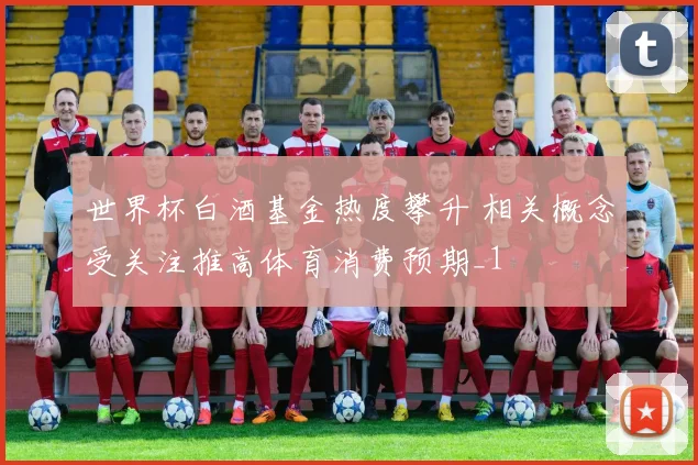 世界杯白酒基金热度攀升 相关概念受关注推高体育消费预期_1