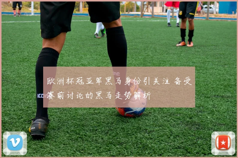 欧洲杯冠亚军黑马身份引关注 备受赛前讨论的黑马走势解析