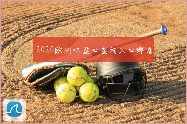 2020欧洲杯盘口查询入口哪看