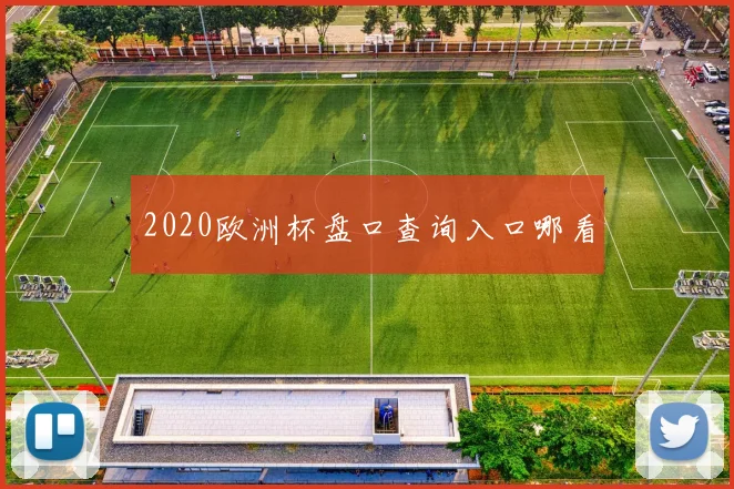 2020欧洲杯盘口查询入口哪看