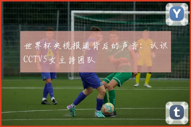 世界杯央视报道背后的声音:认识CCTV5女主持团队