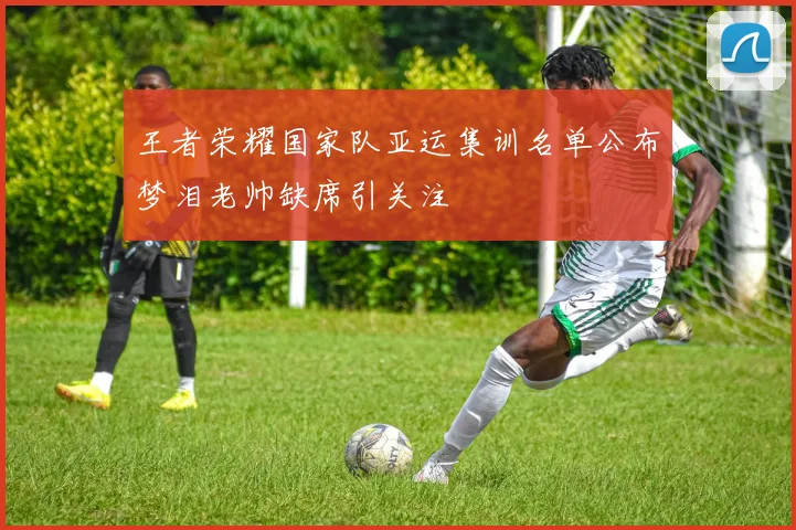 王者荣耀国家队亚运集训名单公布梦泪老帅缺席引关注