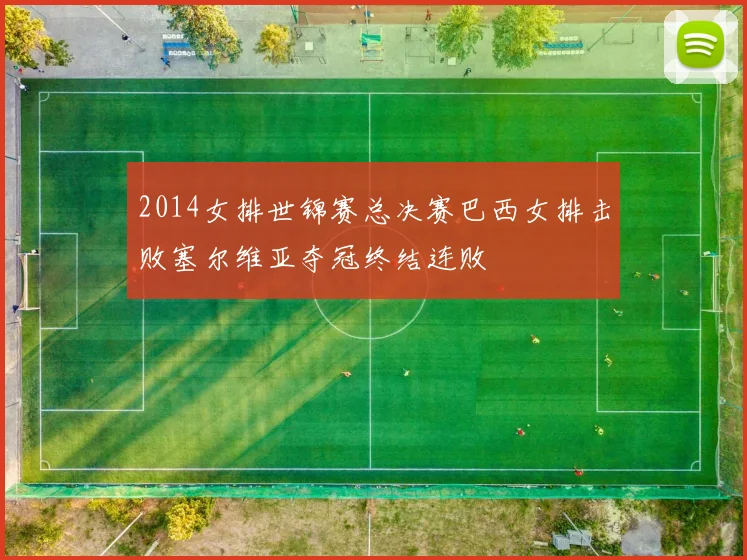 2014女排世锦赛总决赛巴西女排击败塞尔维亚夺冠终结连败