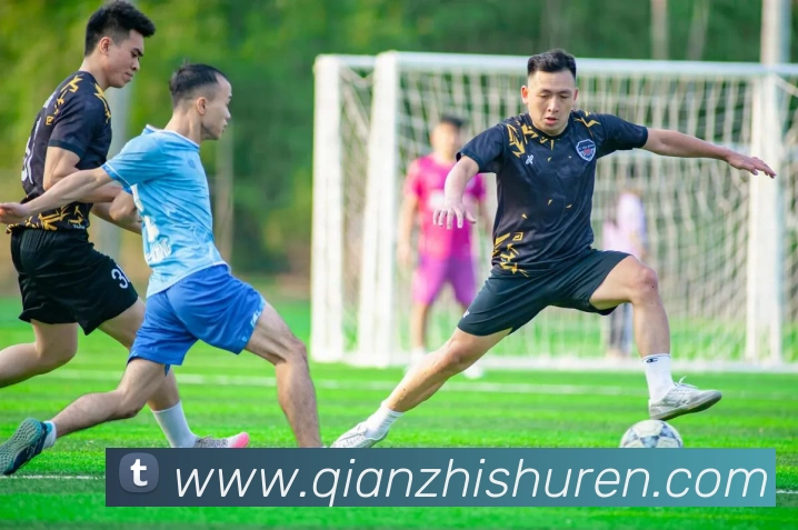 开云网页版登录入口手机版服务体系